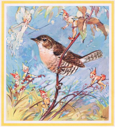Wren by G. Brooks